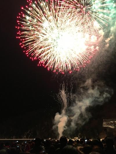 ワンコと一緒旅2018冬☆日光湯元温泉へ