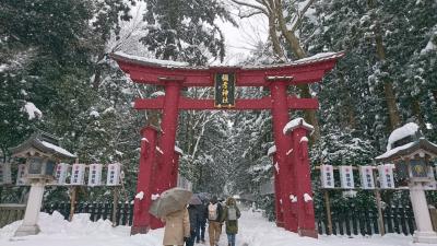 ＊真っ白な雪世界！最終日は雪積もる彌彦神社へお参り＊＊