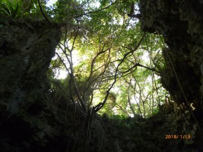 初沖縄！2018年1月・本島2泊3日の旅（1日目：ガンガラーの谷、土香る他）