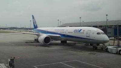 【旅行記100冊目！】ANA B787-9 ビジネスクラス&quot;STAGGERED&quot;搭乗記・クアラルンプール‐羽田(NH886) / Review: All Nippon Airways(ANA) B787-9 Business Class Kuala Lumpur-Tokyo