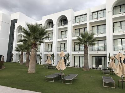 チュニジアからの帰国旅(エジプト航空ビジネスクラス利用…チュニス~カイロ編/アリタリア航空ビジネスクラス利用…カイロ~ローマ~ミラノ編