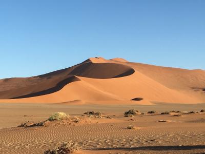 2017年末年始はアフリカ南部4ヶ国の旅(4)ナミブ砂漠ツアーその２