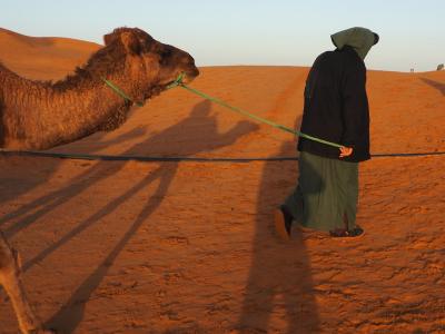 激走2400ｋｍ　　悠久のモロッコ８日間の旅　　サハラ砂漠の夜明け篇