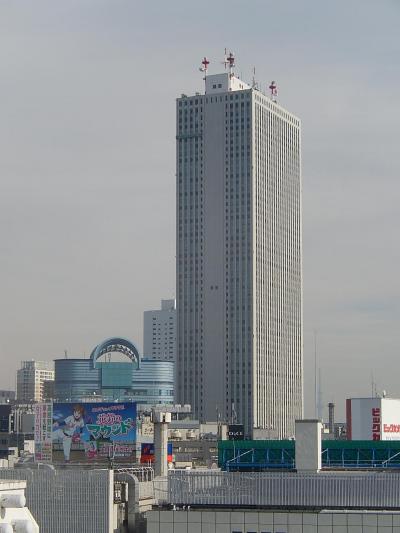 東武百貨店8F屋上デッキ広場から見られる風景