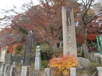 思い立ち高尾山の紅葉を見に行く