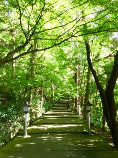 2017 白山ひめ神社(しらやまさん)表参道