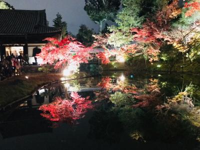 2017地元京都で紅葉狩り