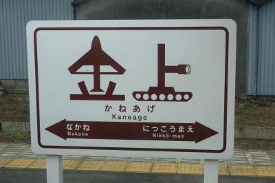 青春18きっぷ＆国立ひたち海浜公園入園券付きひたちなか海浜鉄道湊線1日フリー切符で、電車も海も神社も岩もグルメも花も part1〈ひたちなか海浜鉄道編〉