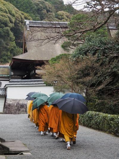 年末年始は初京都♪美仏さまにお会いした～い！！③　★平等院、三十三間堂、即成院、戒光寺、泉涌寺・・・など★