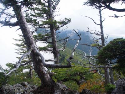 笊ヶ岳.転付In老平Out / 白峰南嶺踏破のために-その1