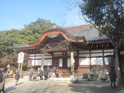 免許更新に府中まで、お蕎麦を食べに深大寺まで 翌日は大雪となりました