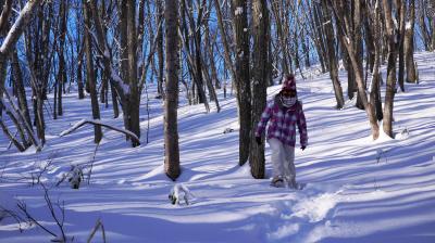 2018.1 冬だからこそ！かんじき、スノーシューで歩く冬の札幌「芸術の森＆モエレ沼公園」