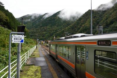 秋の乗り放題きっぷ 北陸-能登半島 乗り鉄旅 その3　岐阜～高山～富山