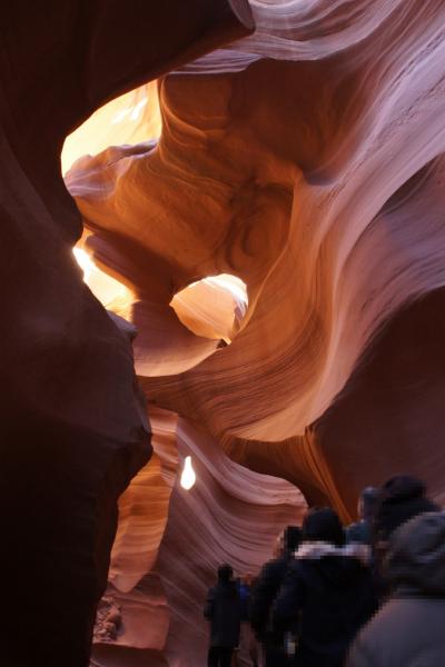 No English！年末年始の子連れ家族アメリカ旅行　⑤グランドサークルツアーに出発１日目