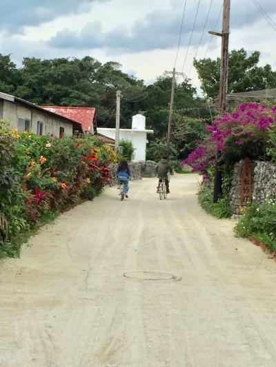 懲りもせずにまた冬の石垣島へ