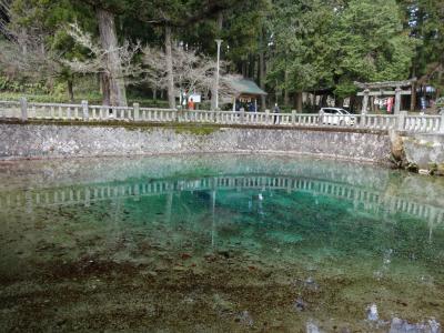 春旅山口旅行☆１日目午前～別府弁天と秋吉洞～