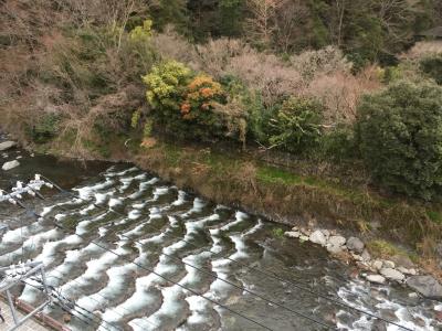 2016 月の宿 紗ら