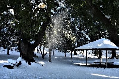 首都圏大雪　雪景色にカメラで遊ぶ