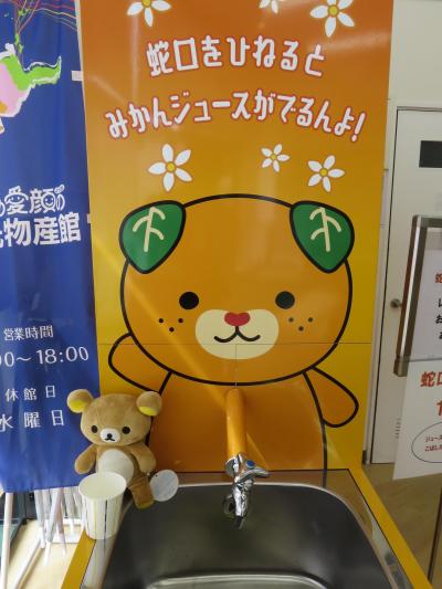 松山観光で名物たべてくるクマ