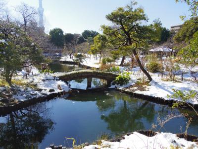 雪の降った翌日の向島百花園