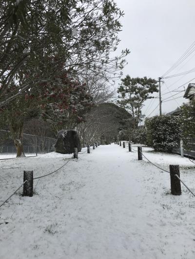 ２０１８年　冬の一日