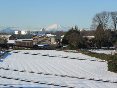 大雪後に見られた素晴らしい富士山