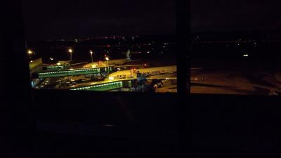 キャセイパシフィックビジネスクラスで行く1泊2日シンガポール～おまけに大雪によるフライトキャンセルで成田に寝袋で1泊～