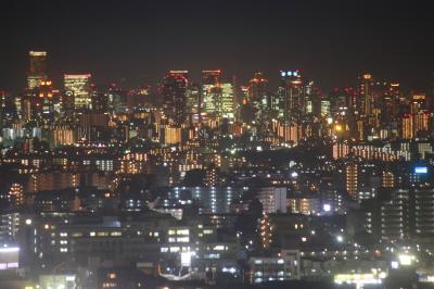 なぜか初めての箕面大滝と勝尾寺の紅葉を求めて3