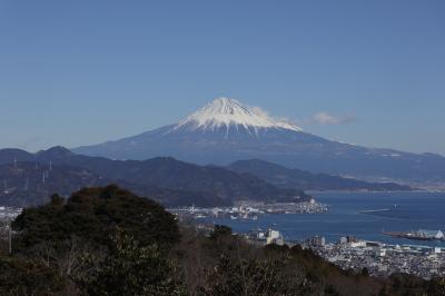 いちごと富士山で冬がベストシーズン？東京からぷらっとこだまで日帰り静岡の旅