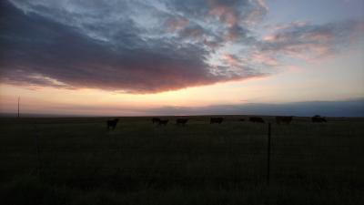 サウスポイントの夕日を最後にオアフ島へ