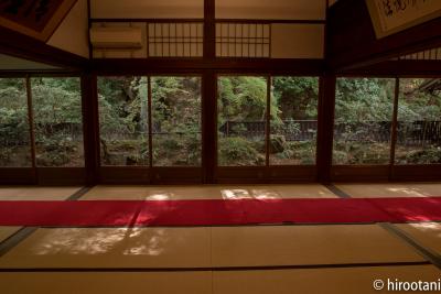 京都紅葉三昧（１）南禅寺・永観堂・哲学の道・安楽寺・銀閣寺・東寺ライトアップ