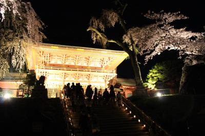 しおがまさま 神々の花灯りを観ました