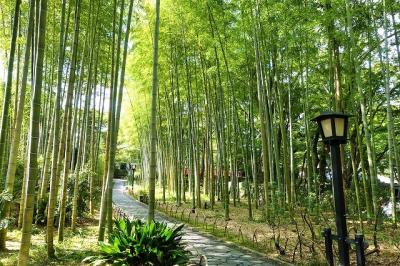 伊豆初の外資系リゾートへ (1) 伊豆マリオットホテル修善寺 宿泊記 【前編】