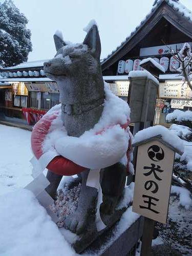 戌年に名古屋の伊奴神社へ