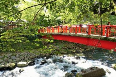 伊豆初の外資系リゾートへ (2) 伊豆マリオットホテル修善寺 宿泊記 【後編】