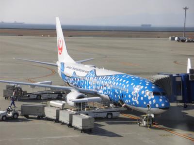 八重山５島スペシャルリゾート４日間　１・２日目