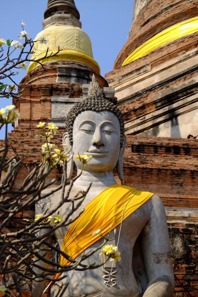 デラックスホテルに泊まる（２泊目）バンコク・アユタヤ　モニターツアー４日間（アユタヤ編）