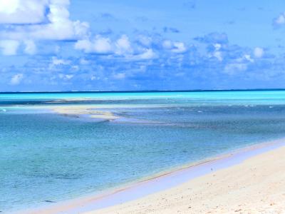 シラオネッタイチョウとブルシャンブルーの海