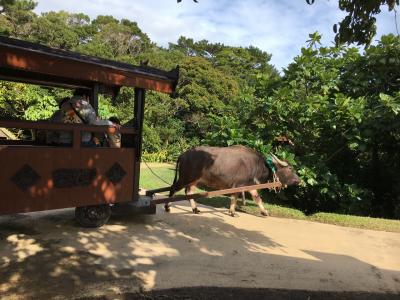 2018年冬 赤ちゃん0歳5ヶ月と 沖縄旅行（2泊3日 2日目）