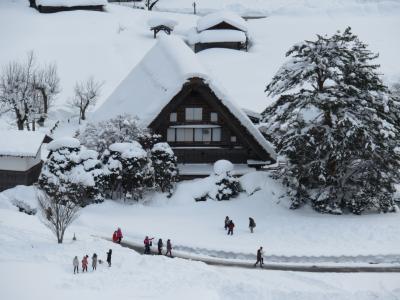 行ってみたかった白銀の世界遺産・白川郷！