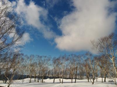 アホアホ姉妹の北海道旅行 2018年1月(カルビー北海道工場・ドレモルタオ・新千歳空港 : シュタイフ ディスカバリーウォーク・アイヌ文化展示コーナー・ロイズ チョコレートワールド 編)