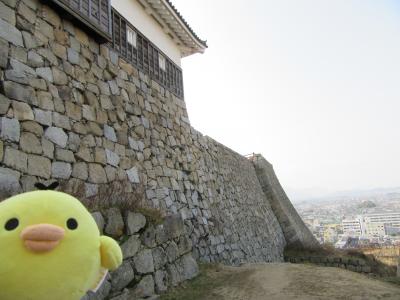 うどん県をたびするトリ　2018