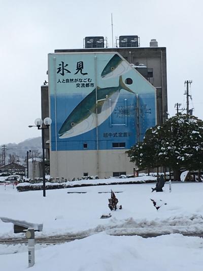 旬の寒ブリを食べに厳冬の富山