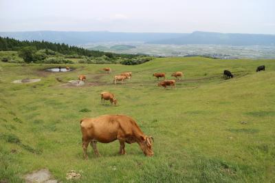 2017熊本3日間の旅　3日目　阿蘇　白川水源　阿蘇山　草千里