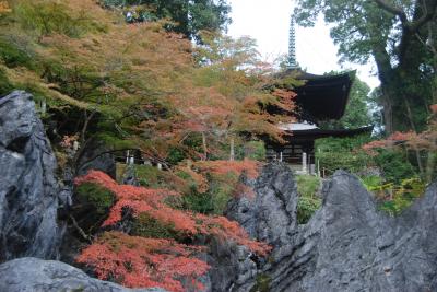 2017 石山寺 多宝塔を訪ねる