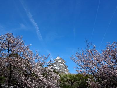 久しぶりの姫路城(白鷺城)と岡山城(烏城)