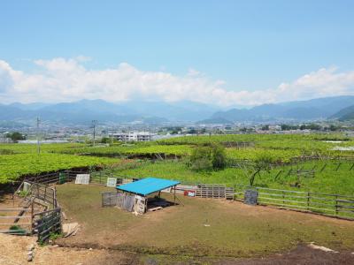 2018年6月 週末温泉旅 in 山梨 ～ スイートコーン収穫祭、「笛吹川温泉 坐忘」、まるき葡萄酒