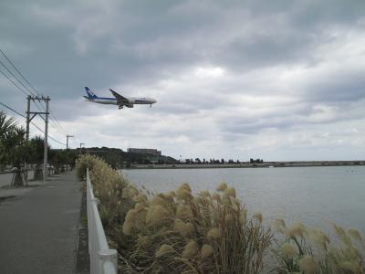 初めての沖縄はクリスマスに(3) ～3日目 ひめゆりの塔と飛行機見学～