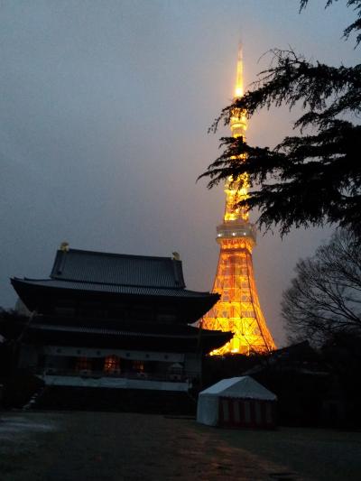 雪の中の増上寺。おまけ上野の東京国立博物館