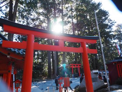 九頭龍神社　新宮　箱根神社と両社参りで　パワーを頂こう?　縁結びのご利益　源頼朝が安産祈願した杉